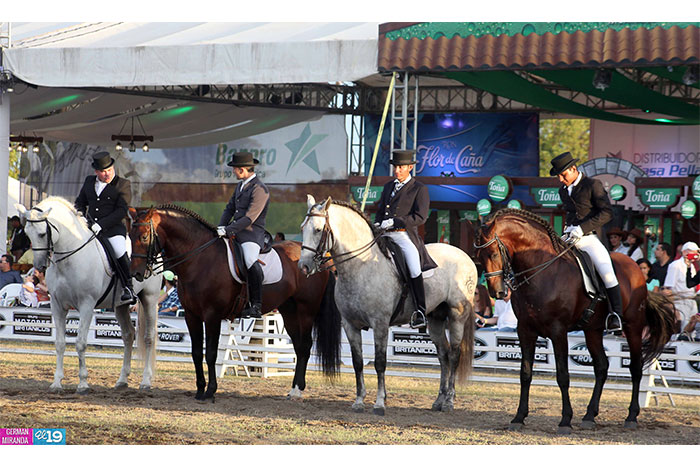 Exitosa IX Feria del Caballo Pura Raza Española