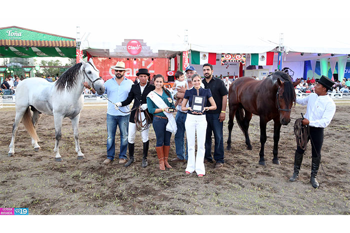 Exitosa IX Feria del Caballo Pura Raza Española