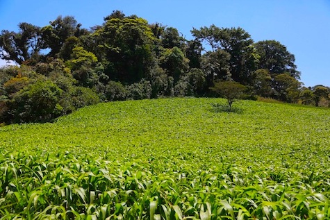Reserva Miraflores, destino turístico para abrazar a la Madre Tierra