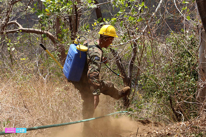 Controlan incendio en comunidades cercanas al Volcán Masaya