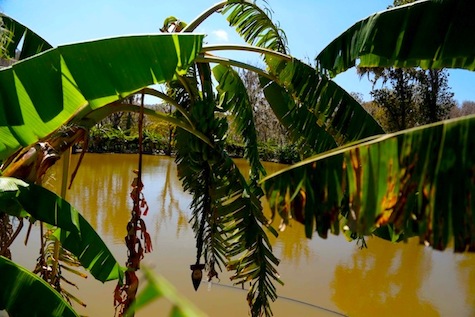 Reserva Miraflores, destino turístico para abrazar a la Madre Tierra