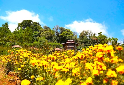 Reserva Miraflores, destino turístico para abrazar a la Madre Tierra