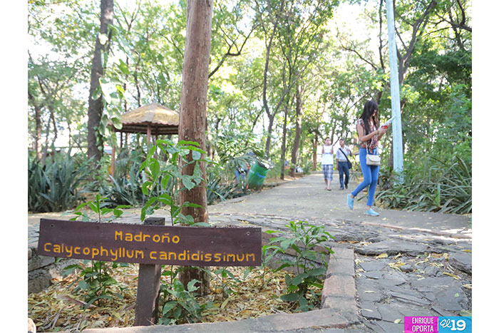 Visitan este fin de semana el Arboretum Nacional