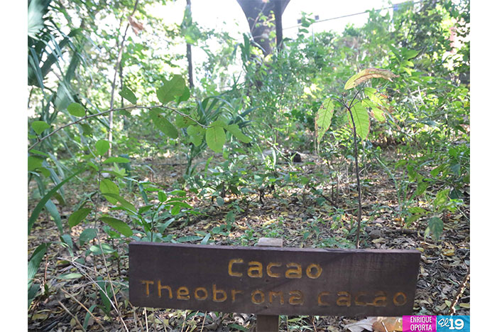 Visitan este fin de semana el Arboretum Nacional