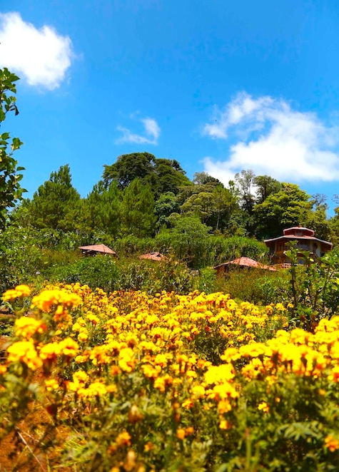 Reserva Miraflores, destino turístico para abrazar a la Madre Tierra