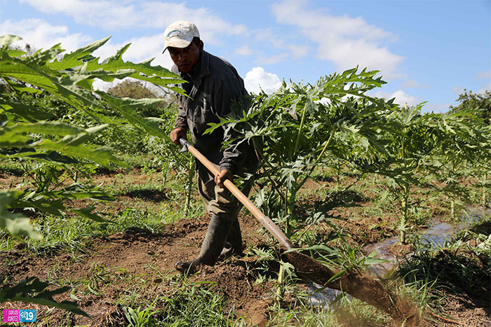 Inta promueve en Rivas investigación e innovación tecnológica con enfoque agroecológico