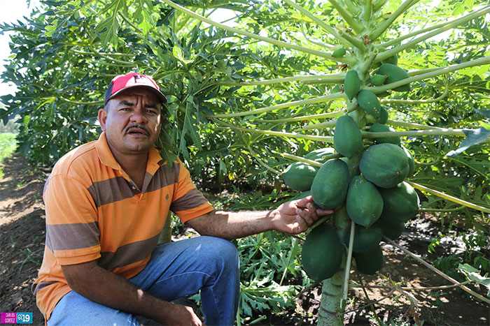 Inta promueve en Rivas investigación e innovación tecnológica con enfoque agroecológico