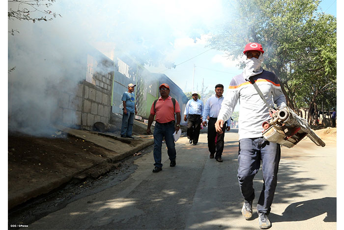 Es deber de tod@s luchar contra el dengue y chikungunya