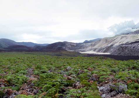 Google captura imágenes de islas Galápagos para Street View