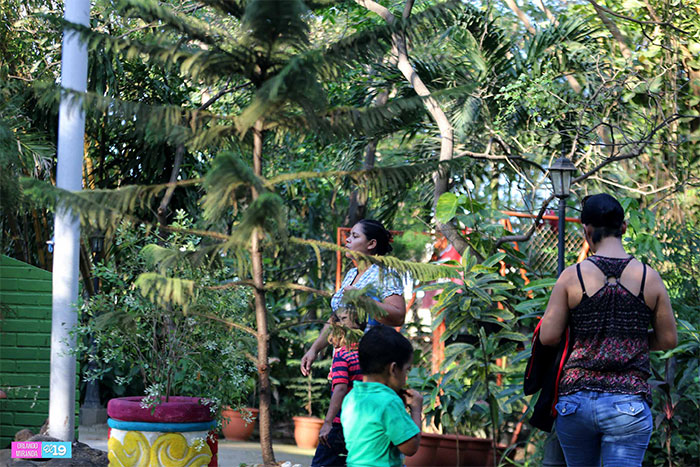 Paz y frescor disfrutan familias que visitan el Arboretum Nacional