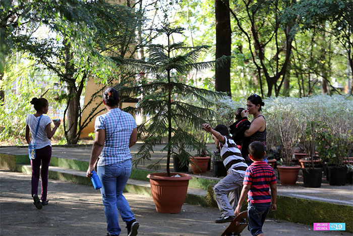 Paz y frescor disfrutan familias que visitan el Arboretum Nacional