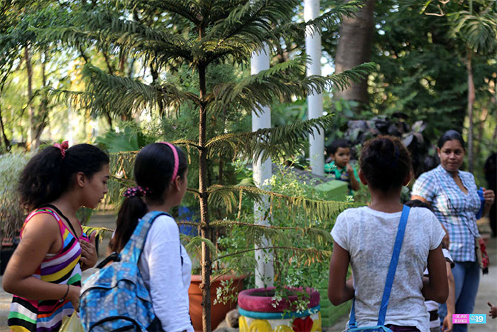 Paz y frescor disfrutan familias que visitan el Arboretum Nacional