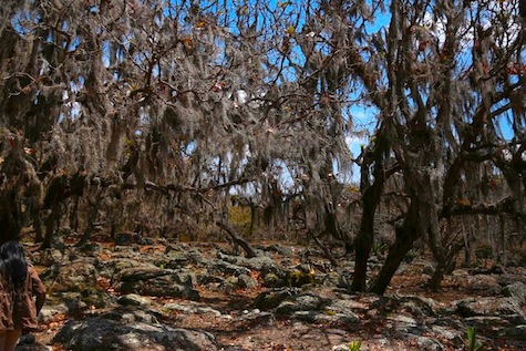 Reserva Miraflores, destino turístico para abrazar a la Madre Tierra