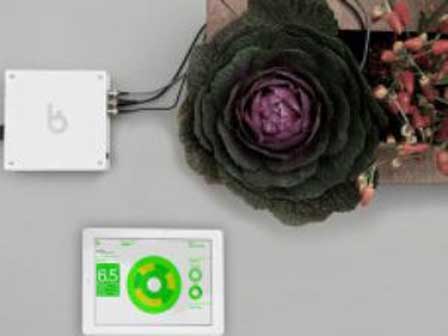 Tecnologías revolucionan el arte de cultivar el propio alimento