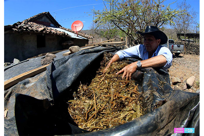 Gobierno Sandinista capacita a productores de La Trinidad para hacer frente a efectos del cambio climático