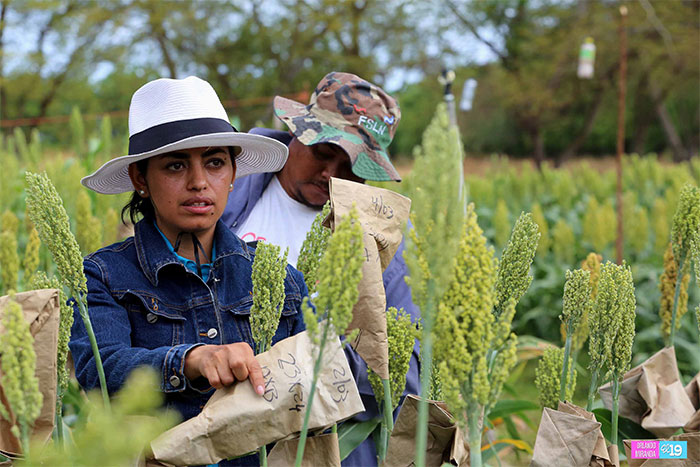 Mujeres destacan logros alcanzados gracias a gestión del Gobierno Sandinista
