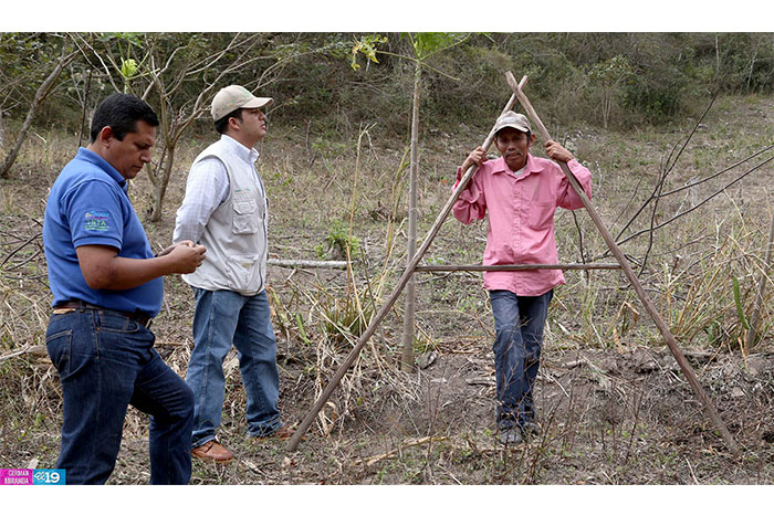 Protección de laderas incrementa productividad en montañas de Nicaragua