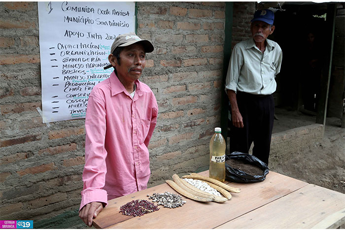 Protección de laderas incrementa productividad en montañas de Nicaragua