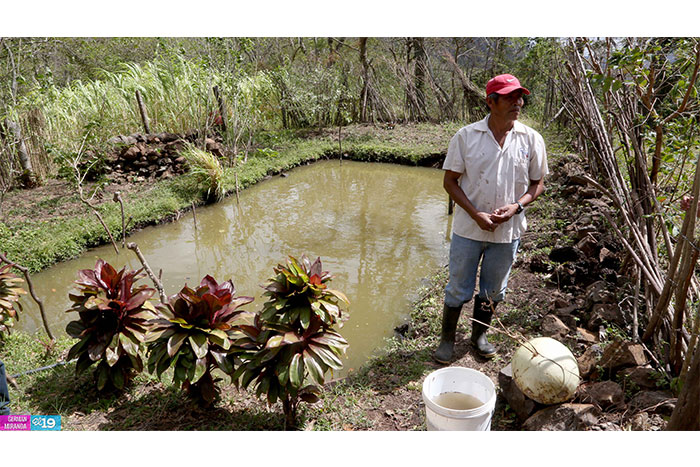 Protección de laderas incrementa productividad en montañas de Nicaragua