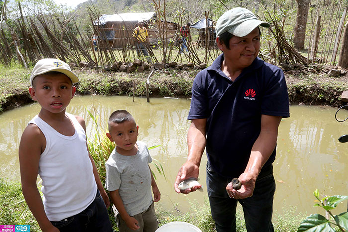 Protección de laderas incrementa productividad en montañas de Nicaragua