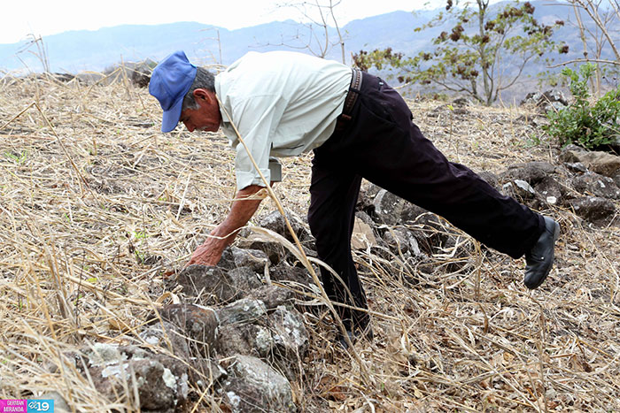 Protección de laderas incrementa productividad en montañas de Nicaragua