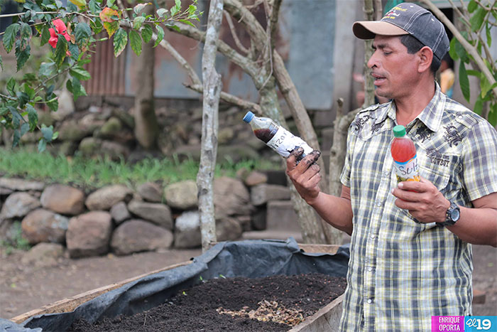 Cultivo en laderas es aprovechado por productores de Jinotega