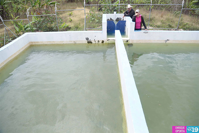 Familias de Jinotega se suman a la ejecución de proyectos de Agua y Saneamiento