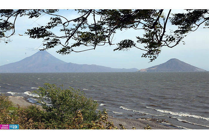 Marena: "Factores climáticos y ambientales impactan en biodiversidad de Nicaragua"