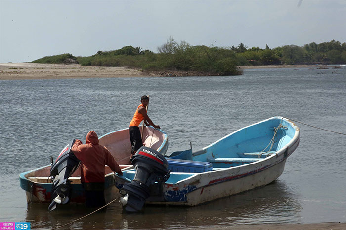 Marena: "Factores climáticos y ambientales impactan en biodiversidad de Nicaragua"