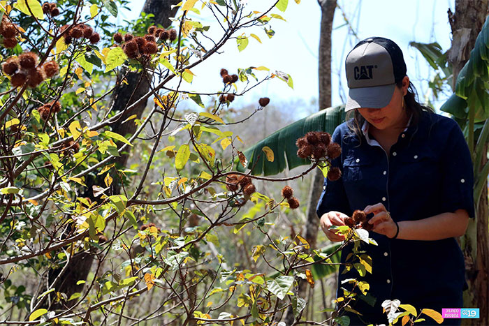 Productores de Boaco apuestan a la conservación de los suelos