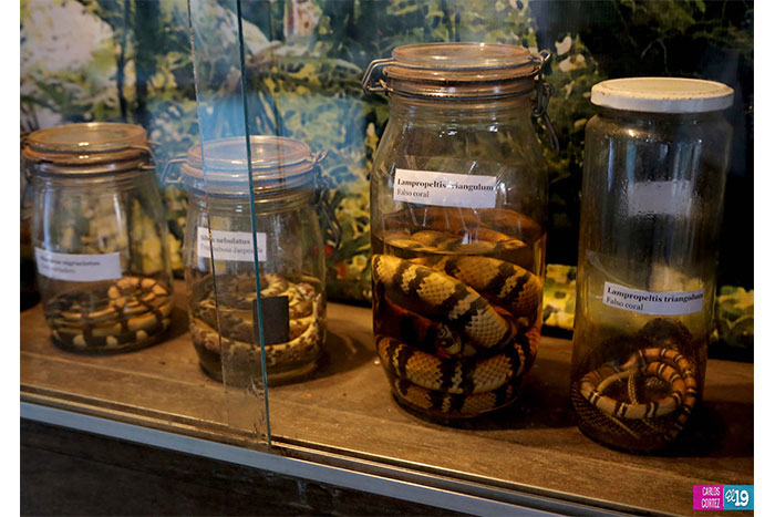 Volcán Mombacho y Laguna de Apoyo, patrimonios naturales de Nicaragua