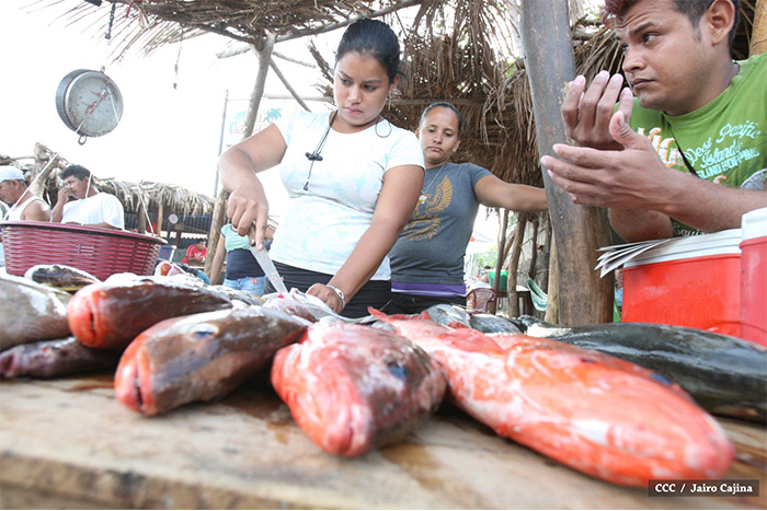 Gobierno Sandinista desarrolla planes de trabajo con cooperativas pesqueras de Masachapa 
