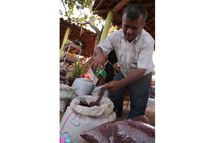 Feria del Campo, una promoción de productos de la tierra a bajo precio