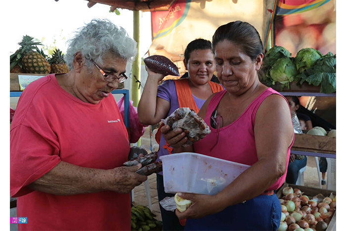 Feria del Campo, una promoción de productos de la tierra a bajo precio