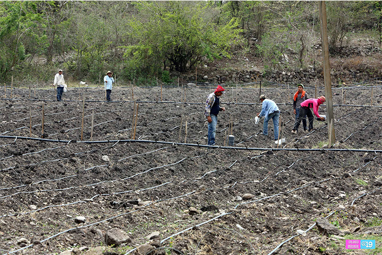 Policía Nacional con mucha más presencia y vigilancia en zonas productivas de Jinotega