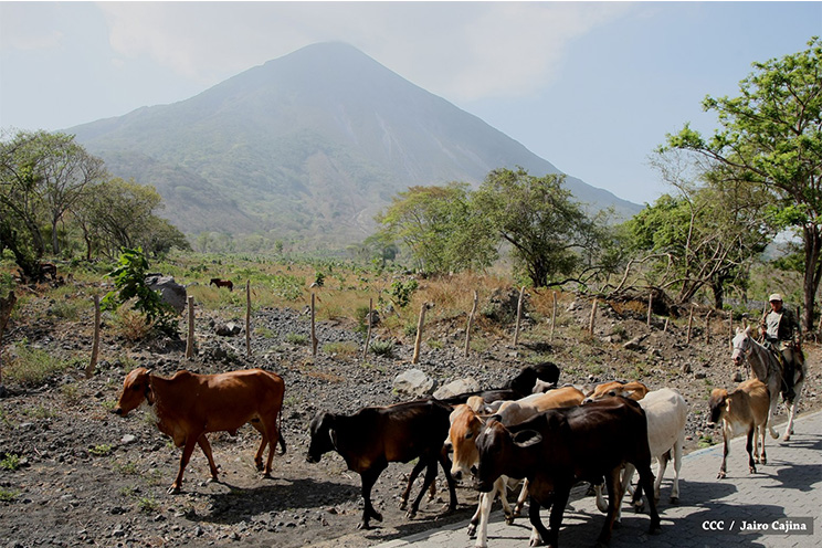 Arde Volcán Concepción 