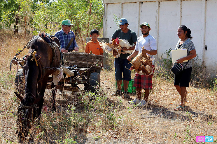 Entregan bonos productivos a familias de Mateare y Ciudad Sandino