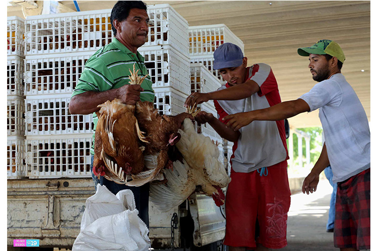 Entregan bonos productivos a familias de Mateare y Ciudad Sandino