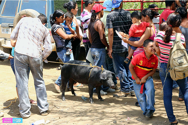 Entregan bonos productivos a familias de Mateare y Ciudad Sandino