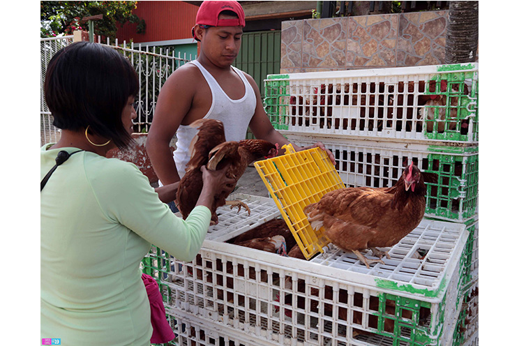 Madres de Masaya protagonizan entrega de Bonos Productivos