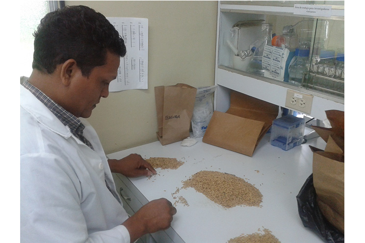 Estudiantes del Tecnológico de Ticuantepe visitan centro de investigación del INTA