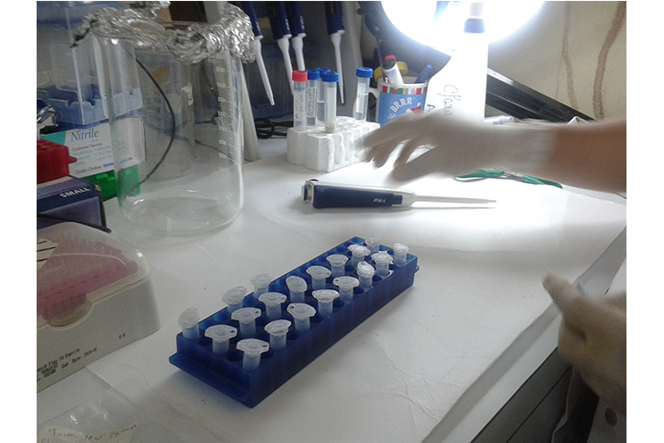 Estudiantes del Tecnológico de Ticuantepe visitan centro de investigación del INTA