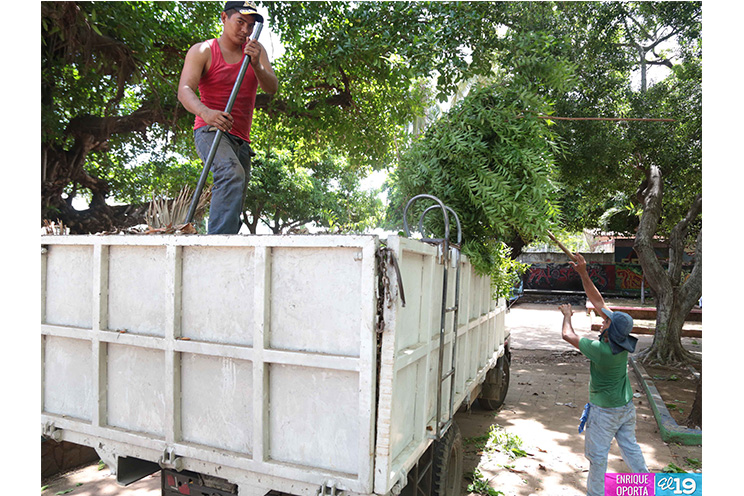 Trabajadores de la Alcaldía de Managua desarrollan jornada de limpieza en el Parque de las Madres