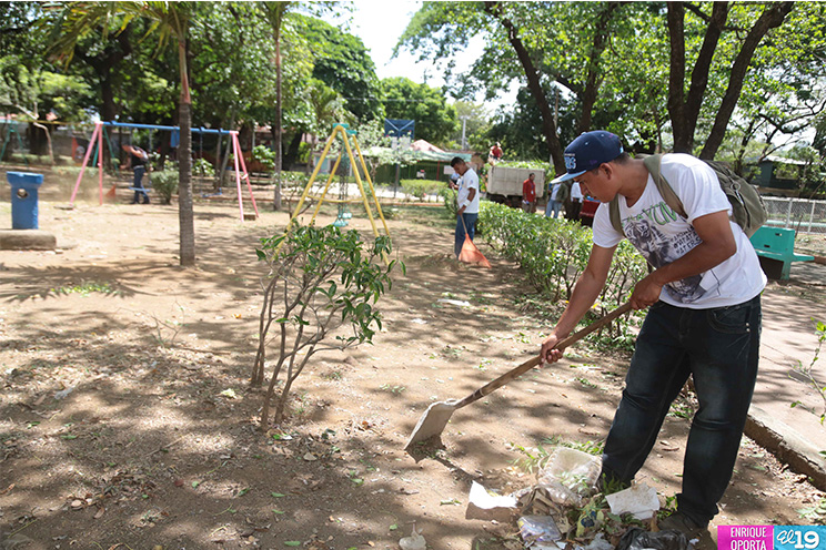 Trabajadores de la Alcaldía de Managua desarrollan jornada de limpieza en el Parque de las Madres