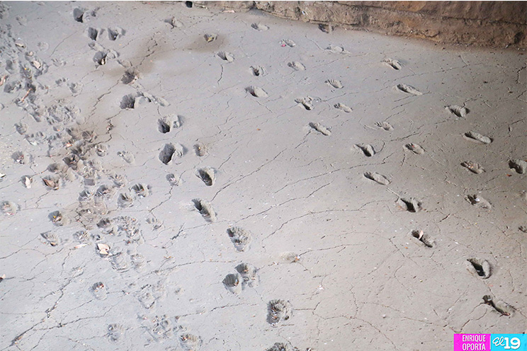 Huellas de Acahualinca, víctima de las lluvias