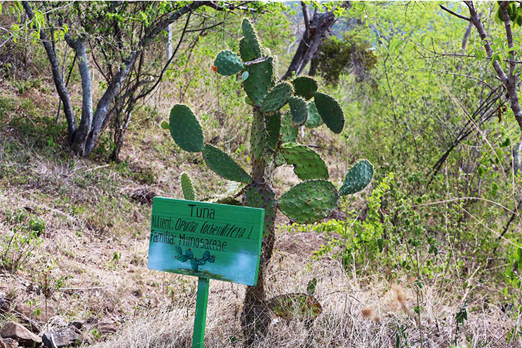 Somoto oferta su Centro de Interpretación Ambiental como atractivo destino ecoturístico