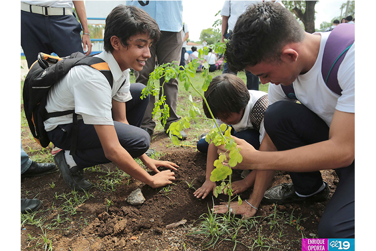 Inicia Cruzada Nacional de Reforestación 2015