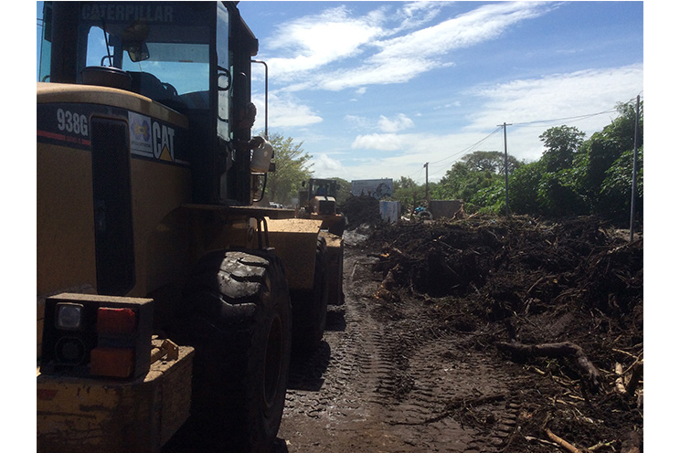 Alcaldía de Managua en labores de limpieza en carretera norte