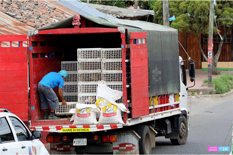 Gobierno entrega Bono Productivo Alimentario a familias de Catarina