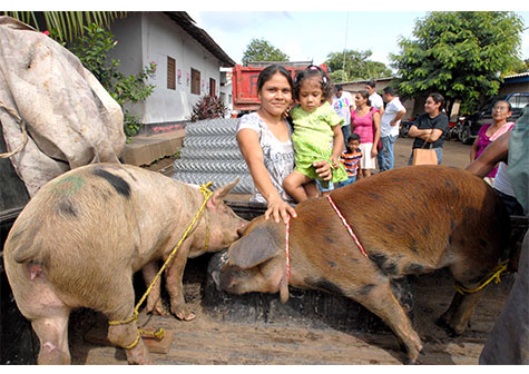 Familias de Villa El Carmen reciben felices su bono de patio
